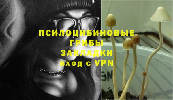 героин Горняк