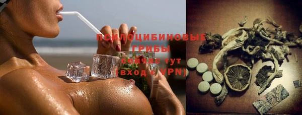 прущий лед Горно-Алтайск