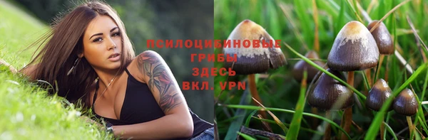 героин Горняк