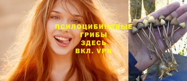 прущий лед Горно-Алтайск
